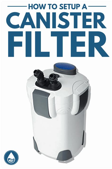 How To Setup A Canister Filter For Your Fish Tank - raincitystudios.com