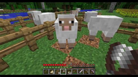 How to Shear a Sheep in Minecraft - raincitystudios.com