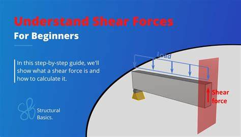 How to Shear - Shearing Merino sheep (Fine Wool) - raincitystudios.com