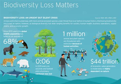 How to Solve Biodiversity Loss: What Actually Works - raincitystudios.com