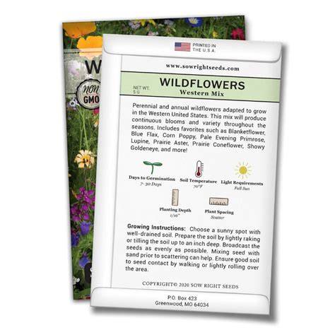 How to sow wildflower seeds - The Grass People - raincitystudios.com