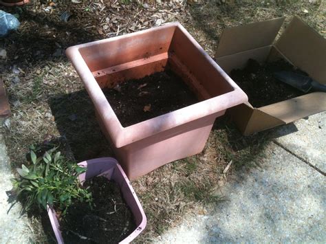 How to Spray Paint Old Plastic Pots - Dengarden - muktibox.com