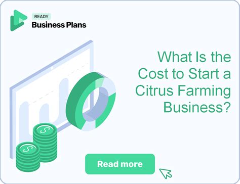 How to Start a Citrus Farming Operation: Step-by-Step … - raincitystudios.com