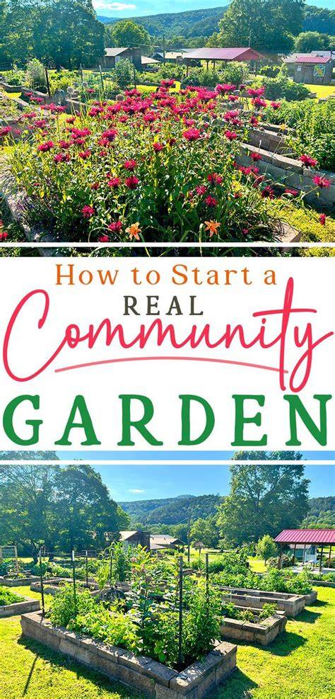 How to Start a Community Garden: - Live to Plant - raincitystudios.com
