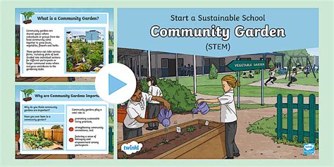 How To Start A Community Garden For Sustainability - raincitystudios.com