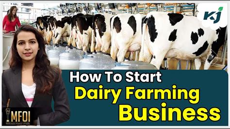 How to Start a Dairy Farming Business - ProfitableVenture - coolestguyplanet.net