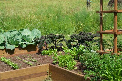How To Start A Productive Spring Vegetable Garden In Western Oregon - raincitystudios.com