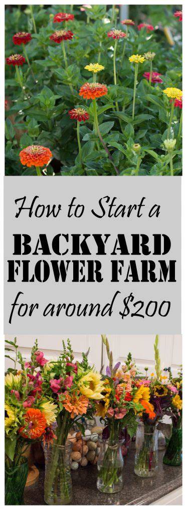 How to Start a Small Backyard Flower Farm (from … - raincitystudios.com