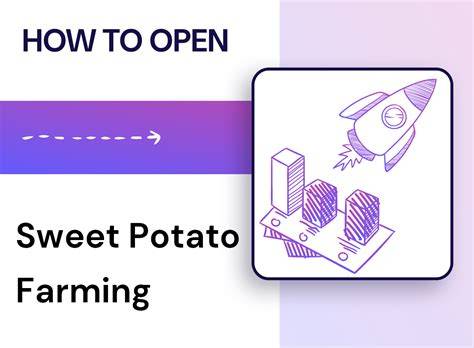How to Start a Successful Sweet Potato Farming … - raincitystudios.com
