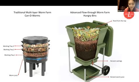 How to Start a Worm Farm at Home: Learn About … - raincitystudios.com