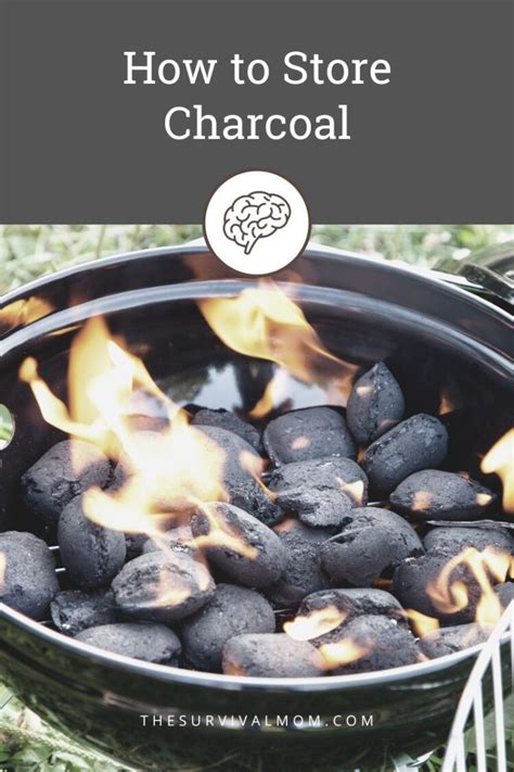 How To Store Charcoal | Storables - muktibox.com