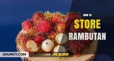 How to Store Rambutan - Savory Suitcase - raincitystudios.com