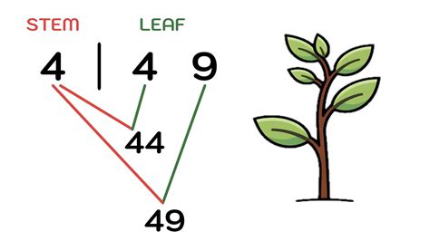 How to Understand a Stem and Leaf Plot Diagram - wintechmobiles.com