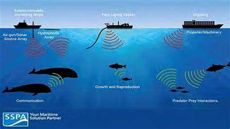 How to Understand Marine Life Communication … - raincitystudios.com
