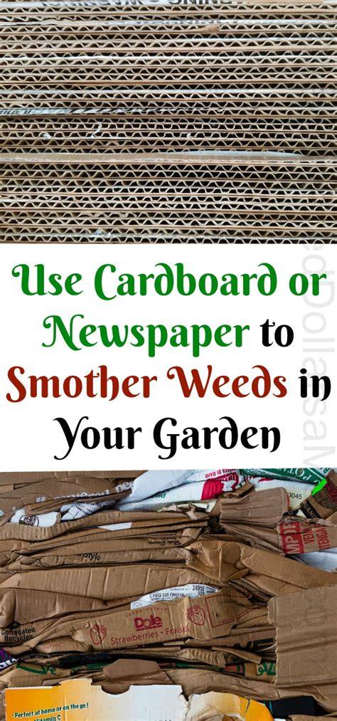 How to Use Cardboard and Newspaper for Smothering Garden Weeds - raincitystudios.com