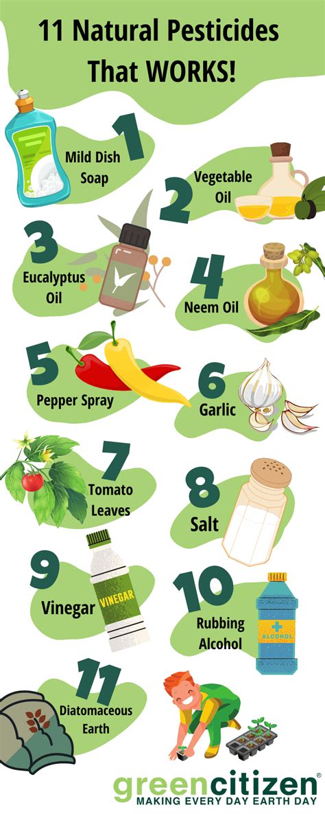 How to Use Chillies as a Natural Pesticide - Howtopedia - raincitystudios.com