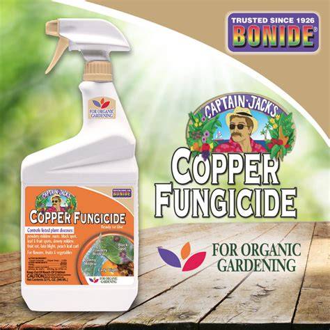 How to Use Copper Fungicide for Root Rot - Biology Insights - raincitystudios.com