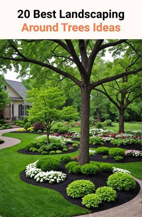 How to Use Feature Trees to Enhance Your Landscape - raincitystudios.com