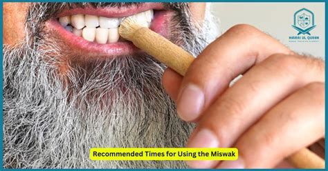 How to Use Miswak - A Comprehensive Guide - Riwaya Blog - wintechmobiles.com