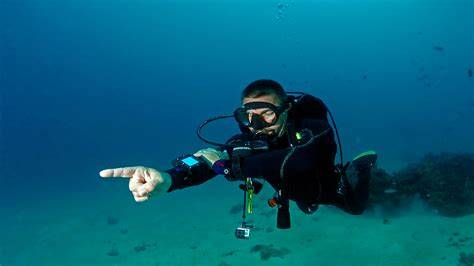 How to Use Natural Navigation When Scuba Diving and10 tips for ... - raincitystudios.com