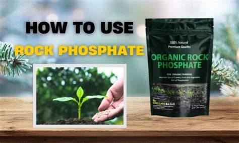 How to Use Rock Phosphate Fertilizer in Your Garden - raincitystudios.com