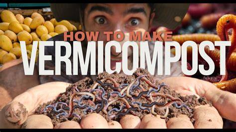 How to Vermicompost: Easy Steps for Organic Fertilizer … - raincitystudios.com
