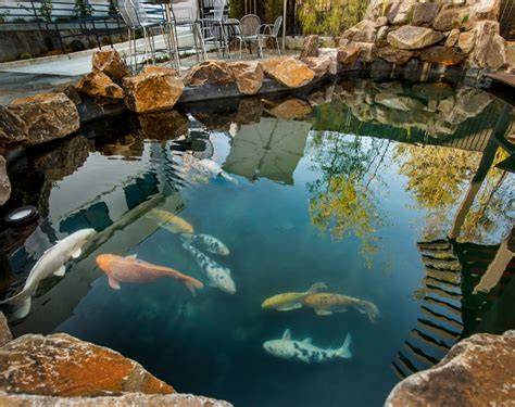 How to waterproof a fish or koi pond - abe - raincitystudios.com