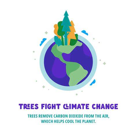 How trees fight climate change - Woodland Trust - raincitystudios.com