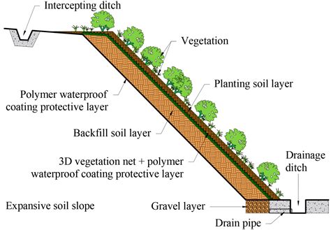 HOW VEGETATION REINFORCES SOIL ON SLOPES - Springer - raincitystudios.com