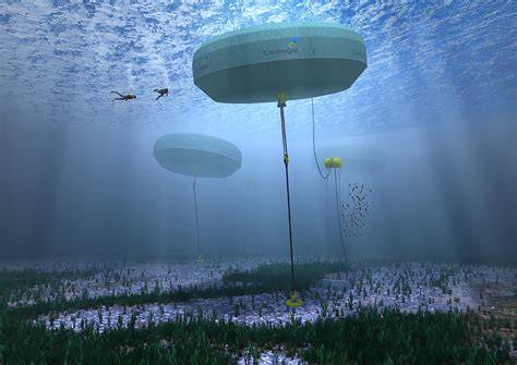 How Wave Energy Projects Are Collaborating with Marine Ecosystem ... - raincitystudios.com