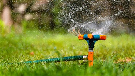 How we're managing water better | WWF - raincitystudios.com