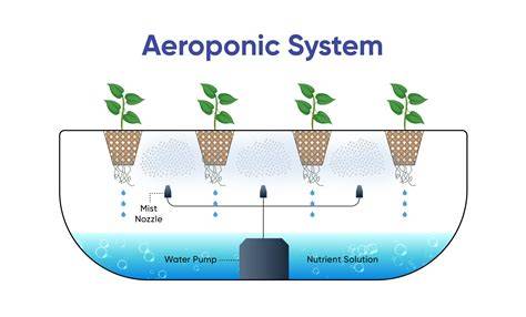 How We Grow Aeroponic Systems - AeroFarms - raincitystudios.com