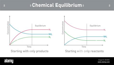 How will this system at equilibrium be affected by each of the ... - wintechmobiles.com