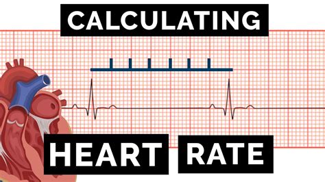 HR-from-ECG - GitHub - coolestguyplanet.net