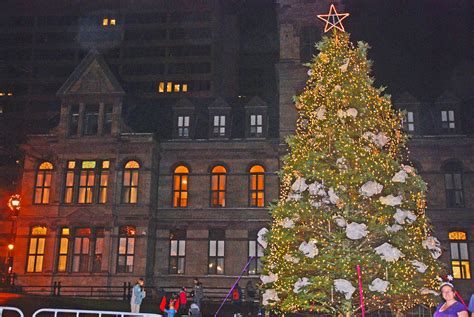 HRM Christmas Tree Lighting at Grand Parade - YouTube