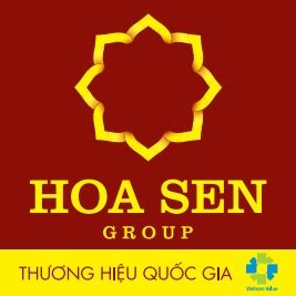 HSG: CTCP Tập đoàn Hoa Sen - HOA SEN GROUP (HSG)