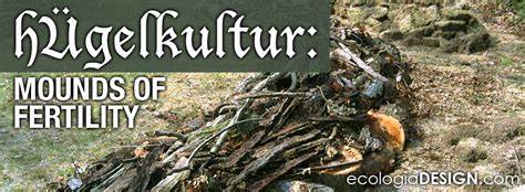 Hugelkultur – Mounds of Fertility - Ecologia Design - raincitystudios.com