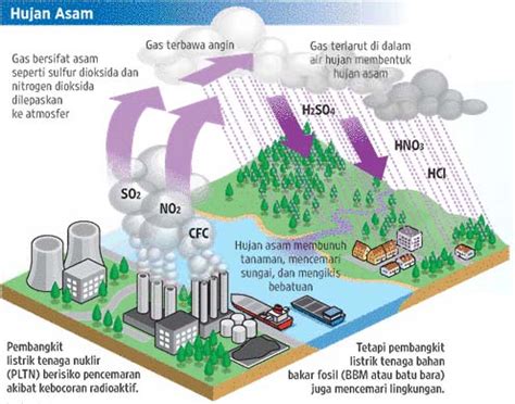 Hujan Asam (Acid Rain) - Proses Terjadinya, … - muktibox.com