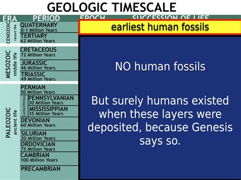 Human Evolution: Understanding our Fossil Record | AMNH - wintechmobiles.com