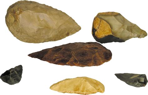 HUMAN EVOLUTION / ACHEULEAN TOOLS & FIRE - Pathwayz - wintechmobiles.com