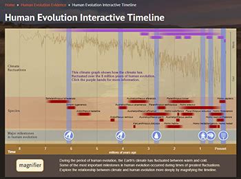 Human Evolution Interactive Timeline - The … - wintechmobiles.com