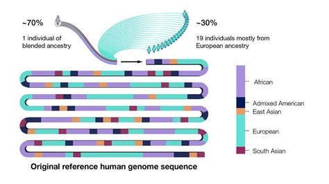 Human Genome Project Fact Sheet - muktibox.com
