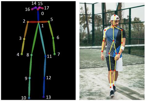 Human pose estimation using deep learning: review ... - Springer - coolestguyplanet.net