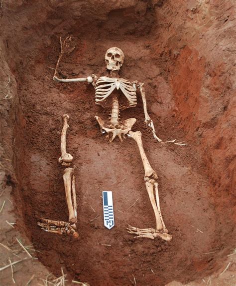 Human Skeletal Remains - DoResearch - wintechmobiles.com