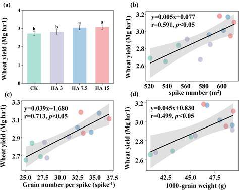 Humic Acid Boosts Wheat Yields on Saline-Alkali Soils - raincitystudios.com
