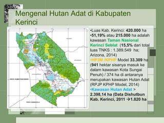 Hutan Adat di Kabupaten Kerinci - raincitystudios.com