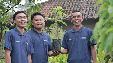 Hutan Lestari Pertamina Hidupkan Alam dan Ekonomi Warga dari Bali ... - raincitystudios.com