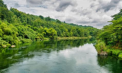 Hutan Lindung Sungai Wain - Yayasan Konservasi Alam Nusantara … - raincitystudios.com