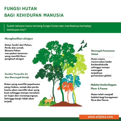 Hutan memiliki fungsi yang beragam. Fungsi hidrolo... - Roboguru - raincitystudios.com