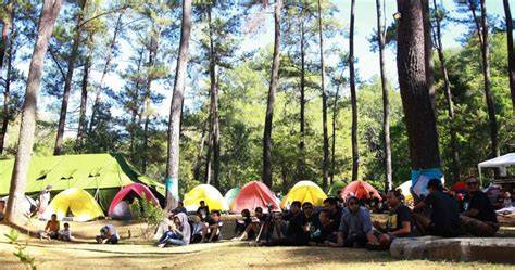 HUTAN PENDIDIKAN - Fakultas Kehutanan - raincitystudios.com